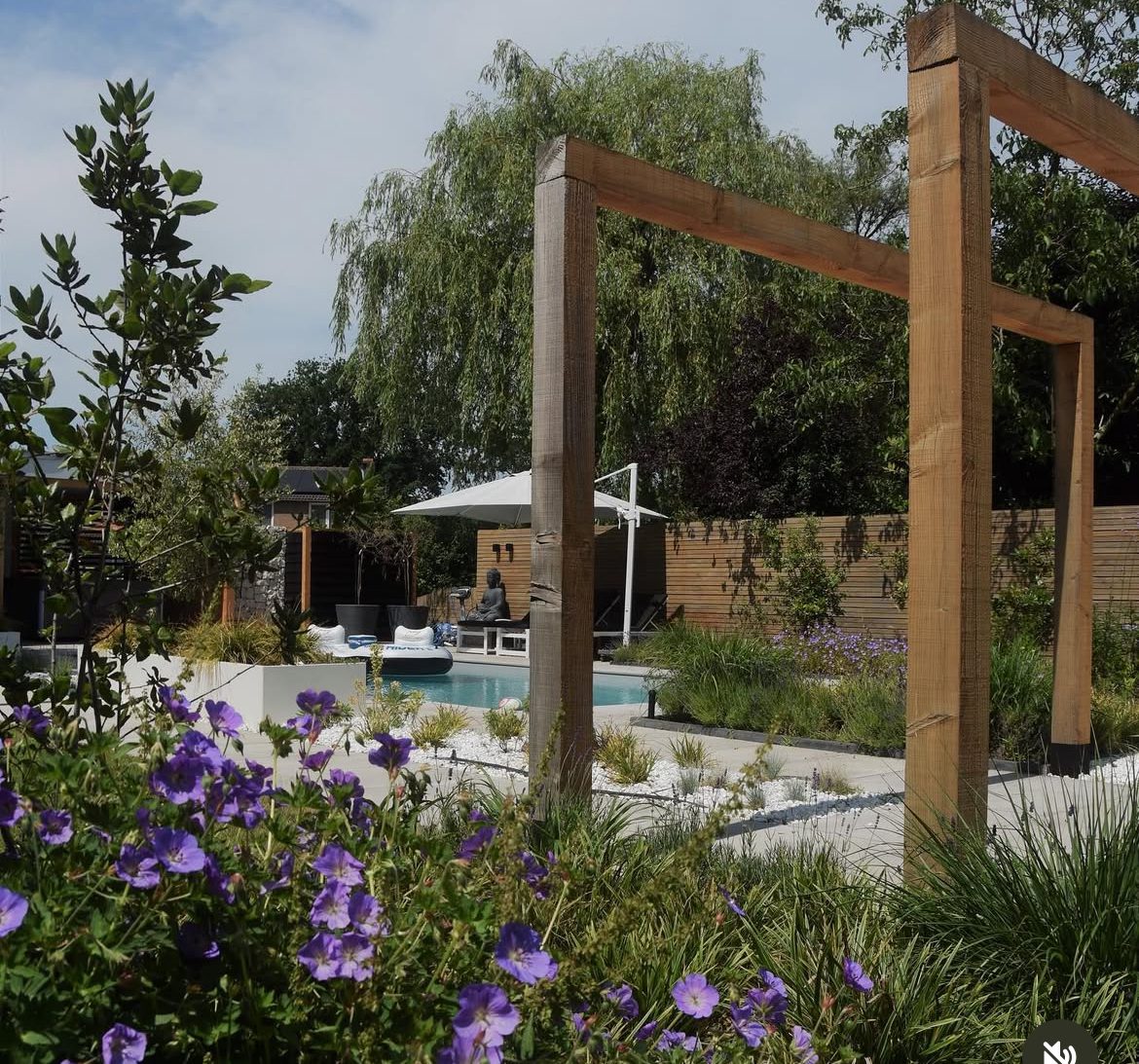 Crocus bloembol verwilderen